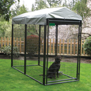 Black Dog Kennels